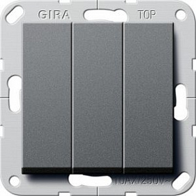 Gira System 55